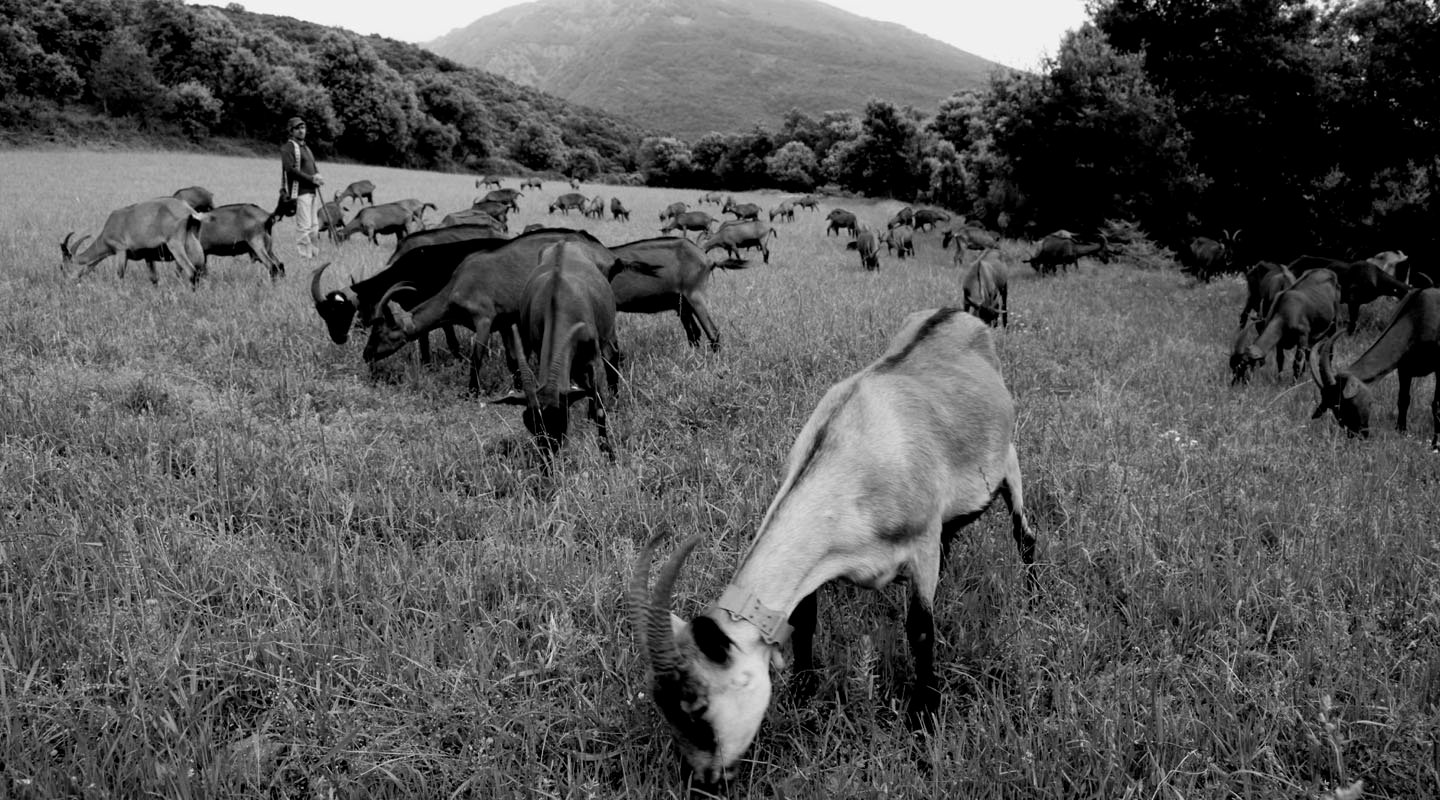 formatgeria del montseny